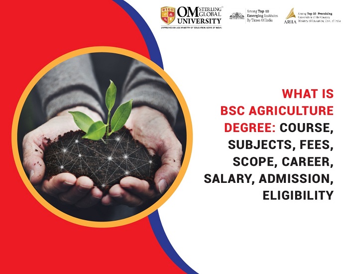 bsc agriculture phd